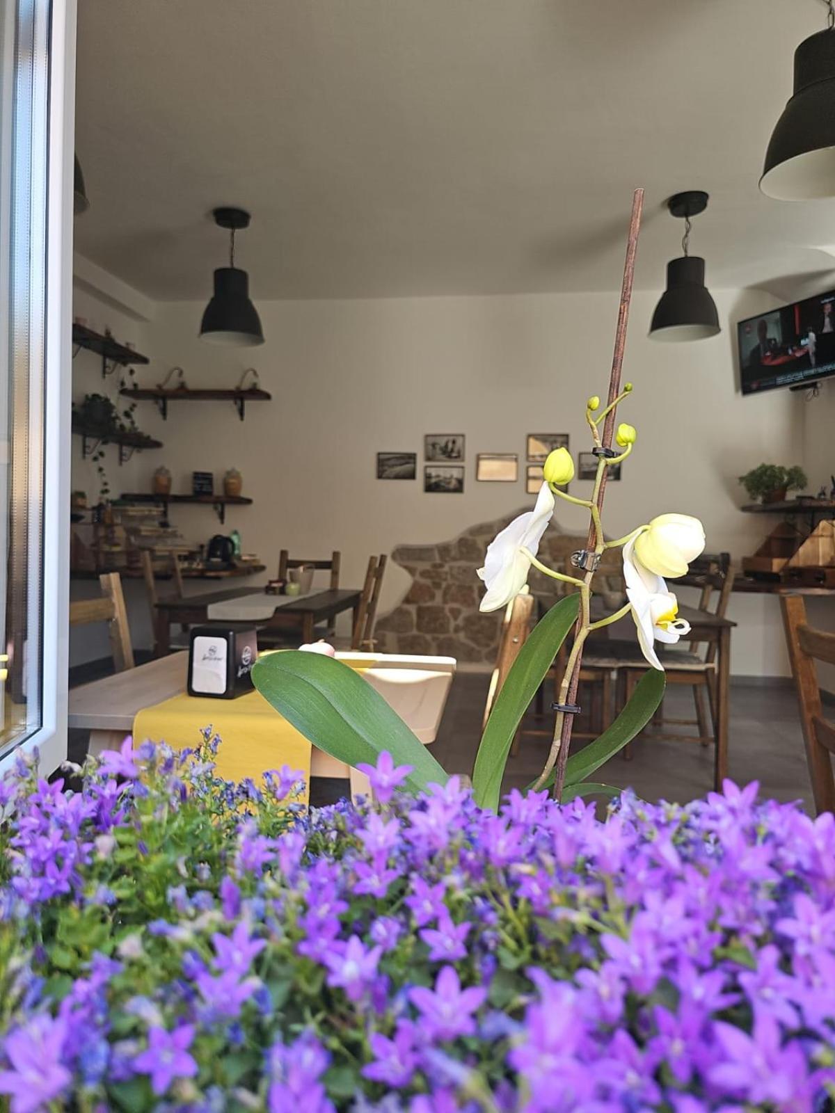 Il Busciolotto Hotel Санта Тереза Галура Екстериор снимка